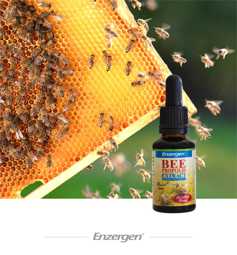 Bee Propolis Extract alcohol free for immune support