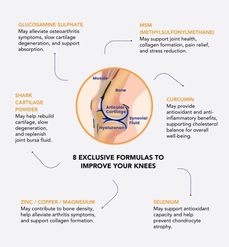 Mobility Booster supplement for joint support and flexibility