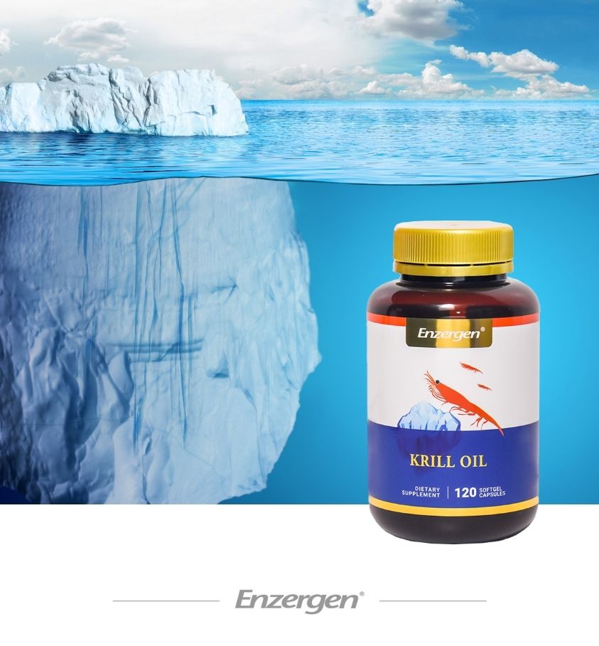 南極磷蝦油 Krill Oil