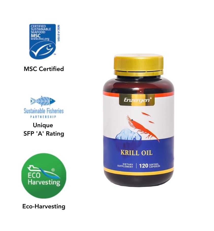 Krill Oil omega 3 supplement for heart, brain and joint health
